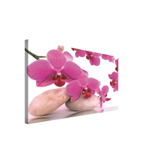 Vászonkép Orchidea Zen 1