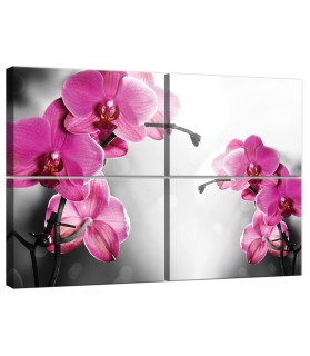 Vászonkép szett 4  darabos Orchidea Ciklámen 1
