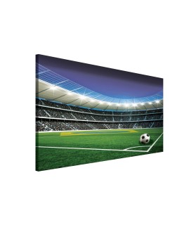 Vászonkép Stadion  1 L