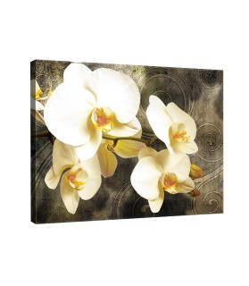 Vászonkép Orchidea 2
