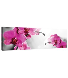 Vászonkép orchideák Ciklámen XL