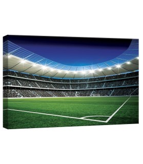 Vászonkép Stadion  1 S