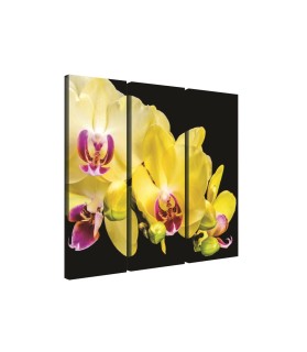 Vászonkép szett 3 darabos sárga Orchidea 3D