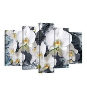 Vászonkép szett 5 darabos Orchidea 1