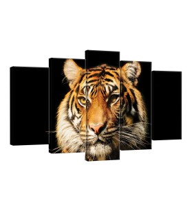 Vászonkép szett 5 darabos Tigris 2 3D