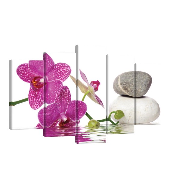 Vászonkép szett 5 darabos Orchidea elegáns 5