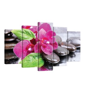 Vászonkép szett 5 darabos Orchidea Zen 2