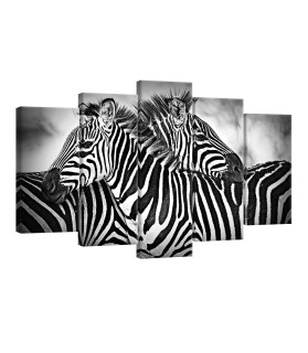 Vászonkép szett 5 darabos Zebras fekete és fehér