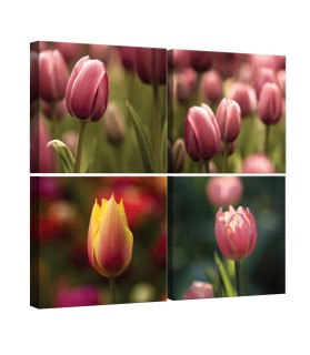 Vászonkép szett 4 darabos Tulipánok 3