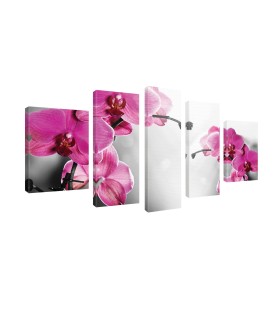 Vászonkép szett 5 darabos Orchidea ciklama 1